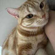 ヒメ日記 2025/08/11 02:18 投稿 なう 素人系イメージSOAP彼女感大宮館