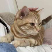 ヒメ日記 2025/08/13 03:17 投稿 なう 素人系イメージSOAP彼女感大宮館