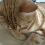 ヒメ日記 2025/08/17 03:41 投稿 なう 素人系イメージSOAP彼女感大宮館