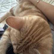 ヒメ日記 2025/08/22 03:18 投稿 なう 素人系イメージSOAP彼女感大宮館