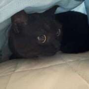 ヒメ日記 2025/08/23 03:18 投稿 なう 素人系イメージSOAP彼女感大宮館