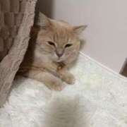 ヒメ日記 2025/08/29 04:48 投稿 なう 素人系イメージSOAP彼女感大宮館