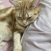 ヒメ日記 2025/08/31 01:24 投稿 なう 素人系イメージSOAP彼女感大宮館