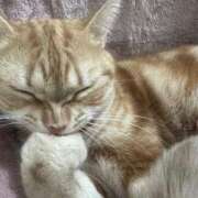 ヒメ日記 2025/09/09 03:09 投稿 なう 素人系イメージSOAP彼女感大宮館