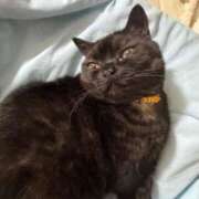 ヒメ日記 2025/09/12 22:55 投稿 なう 素人系イメージSOAP彼女感大宮館