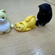 ヒメ日記 2025/09/13 20:24 投稿 なう 素人系イメージSOAP彼女感大宮館