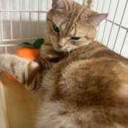 ヒメ日記 2025/09/17 07:30 投稿 なう 素人系イメージSOAP彼女感大宮館