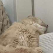 ヒメ日記 2025/09/18 02:05 投稿 なう 素人系イメージSOAP彼女感大宮館