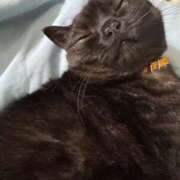 ヒメ日記 2025/09/20 02:45 投稿 なう 素人系イメージSOAP彼女感大宮館