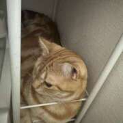 ヒメ日記 2025/09/24 17:49 投稿 なう 素人系イメージSOAP彼女感大宮館