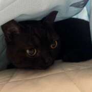 ヒメ日記 2025/09/25 16:17 投稿 なう 素人系イメージSOAP彼女感大宮館