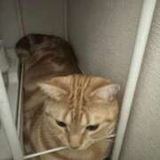 ヒメ日記 2025/10/04 04:45 投稿 なう 素人系イメージSOAP彼女感大宮館