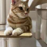 ヒメ日記 2025/10/06 17:30 投稿 なう 素人系イメージSOAP彼女感大宮館