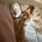 ヒメ日記 2025/10/15 03:36 投稿 なう 素人系イメージSOAP彼女感大宮館