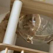 ヒメ日記 2025/10/17 09:56 投稿 なう 素人系イメージSOAP彼女感大宮館