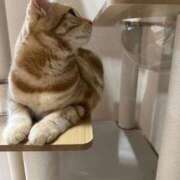 ヒメ日記 2025/10/22 18:24 投稿 なう 素人系イメージSOAP彼女感大宮館