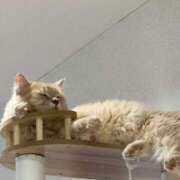 ヒメ日記 2025/10/23 13:34 投稿 なう 素人系イメージSOAP彼女感大宮館