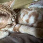 ヒメ日記 2025/10/24 01:48 投稿 なう 素人系イメージSOAP彼女感大宮館