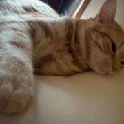 ヒメ日記 2025/10/29 16:10 投稿 なう 素人系イメージSOAP彼女感大宮館