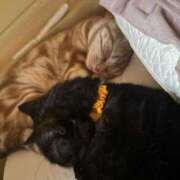 ヒメ日記 2025/11/12 09:49 投稿 なう 素人系イメージSOAP彼女感大宮館