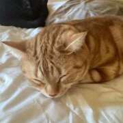 ヒメ日記 2025/11/24 02:47 投稿 なう 素人系イメージSOAP彼女感大宮館