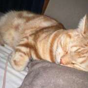 なう 今日はゆっくり( っ °､｡)っ 素人系イメージSOAP彼女感大宮館