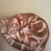 ヒメ日記 2026/01/06 18:01 投稿 なう 素人系イメージSOAP彼女感大宮館