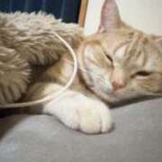 ヒメ日記 2026/01/07 01:33 投稿 なう 素人系イメージSOAP彼女感大宮館