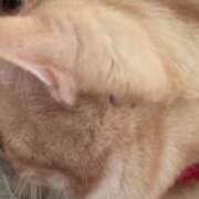 ヒメ日記 2026/01/09 16:21 投稿 なう 素人系イメージSOAP彼女感大宮館