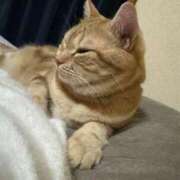 なう 今日はゆっくり...🐌 素人系イメージSOAP彼女感大宮館