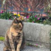 なう ごめんなさい🙏 素人系イメージSOAP彼女感大宮館
