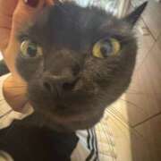 ヒメ日記 2026/02/14 00:33 投稿 なう 素人系イメージSOAP彼女感大宮館