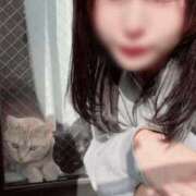 ヒメ日記 2026/02/24 07:44 投稿 なう 素人系イメージSOAP彼女感大宮館