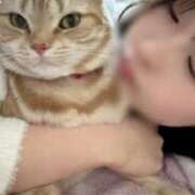 ヒメ日記 2026/02/24 23:58 投稿 なう 素人系イメージSOAP彼女感大宮館