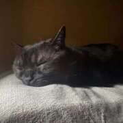 ヒメ日記 2026/02/28 01:02 投稿 なう 素人系イメージSOAP彼女感大宮館