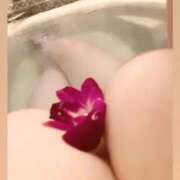 ヒメ日記 2025/09/27 11:24 投稿 ひめの 豊満倶楽部