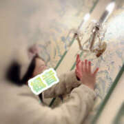 ヒメ日記 2025/01/04 09:16 投稿 楓音(かのん) ハピネス東京