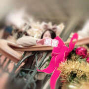 ヒメ日記 2025/01/07 04:29 投稿 楓音(かのん) ハピネス東京