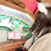 ヒメ日記 2025/01/17 04:46 投稿 楓音(かのん) ハピネス東京