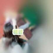 ヒメ日記 2025/02/07 07:25 投稿 楓音(かのん) ハピネス東京