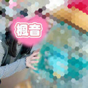 ヒメ日記 2025/04/02 10:27 投稿 楓音(かのん) ハピネス東京