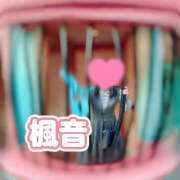 ヒメ日記 2025/04/10 12:10 投稿 楓音(かのん) ハピネス東京