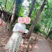 ヒメ日記 2025/11/04 23:37 投稿 楓音(かのん) ハピネス東京