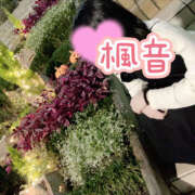 ヒメ日記 2025/11/19 23:10 投稿 楓音(かのん) ハピネス東京