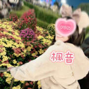 ヒメ日記 2025/11/25 19:28 投稿 楓音(かのん) ハピネス東京