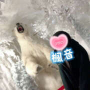 楓音(かのん) 私の口癖♡♡ ハピネス東京