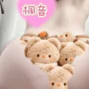 ヒメ日記 2026/01/20 23:57 投稿 楓音(かのん) ハピネス東京