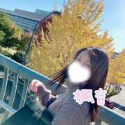 ヒメ日記 2026/02/08 16:57 投稿 楓音(かのん) ハピネス東京