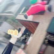 ヒメ日記 2026/02/15 12:14 投稿 楓音(かのん) ハピネス東京