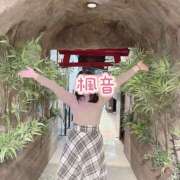 楓音(かのん) コスパ良き♡ ハピネス東京